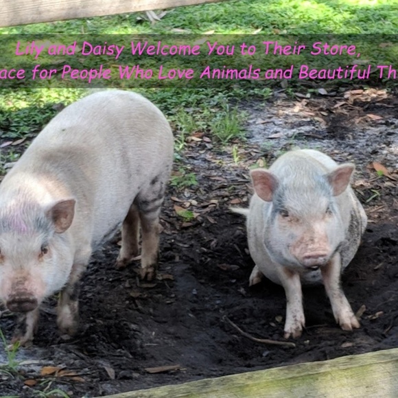 Meet your Posher, Elaine - Picture 2 of 5